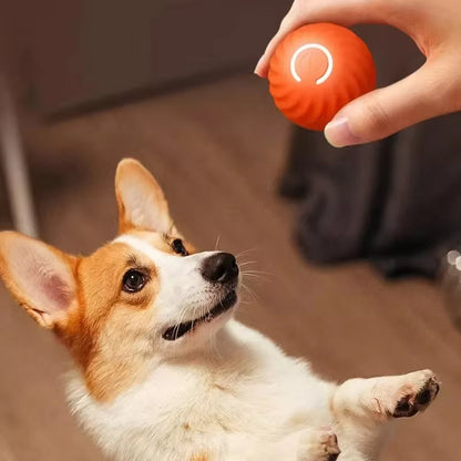 Automatic Dog Toy Ball for Endless Fun and Engagement