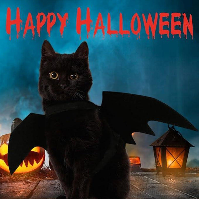 Adorable Pet Cat Bat Wings - The Perfect Halloween Costume Accessory for Your Furry Friends