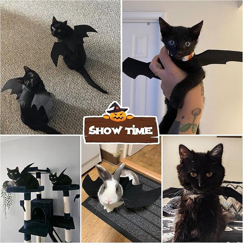 Adorable Pet Cat Bat Wings - The Perfect Halloween Costume Accessory for Your Furry Friends