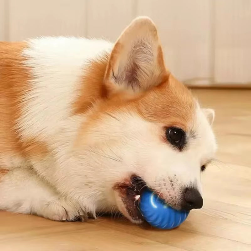 Automatic Dog Toy Ball for Endless Fun and Engagement