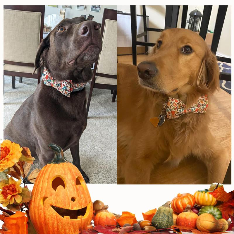Elevate Your Pet's Style with the Unique Style Paws Adjustable Halloween Dog Collar Featuring a Charming Bow Tie - Perfect for Dogs of All Sizes